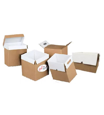 Stock and Custom Ice Cream Packaging | Tyoga Container
